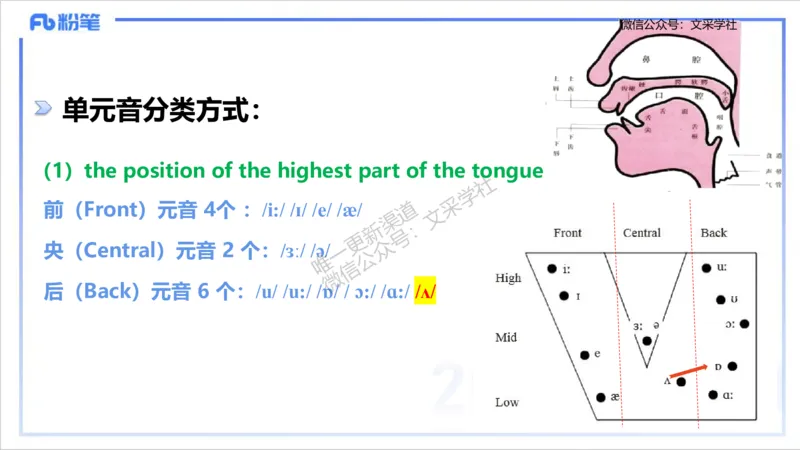 理论精讲14-语言学1&mdash;安书缘_4-教培资料-26年最新资料-同步更新_初中高中教资_03科三专项（进去保存报考的学科即可）_01科目三FB网课、三色速记手册、知识点导图等推荐_初中