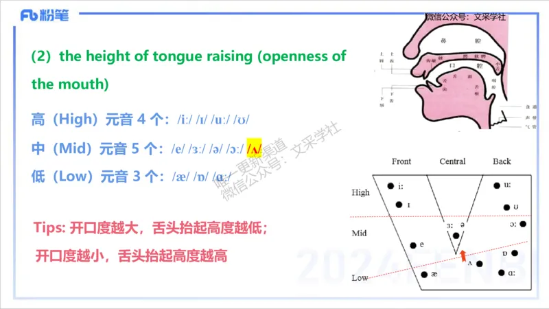 理论精讲14-语言学1&mdash;安书缘_4-教培资料-26年最新资料-同步更新_初中高中教资_03科三专项（进去保存报考的学科即可）_01科目三FB网课、三色速记手册、知识点导图等推荐_初中