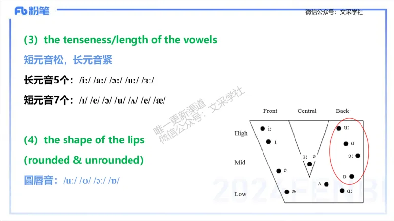 理论精讲14-语言学1&mdash;安书缘_4-教培资料-26年最新资料-同步更新_初中高中教资_03科三专项（进去保存报考的学科即可）_01科目三FB网课、三色速记手册、知识点导图等推荐_初中