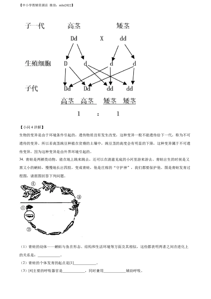 精品解析：2022年辽宁省铁岭市中考生物真题（解析版）_中考真题_8.生物中考真题2015-2024年_2022年全国中考生物114份14