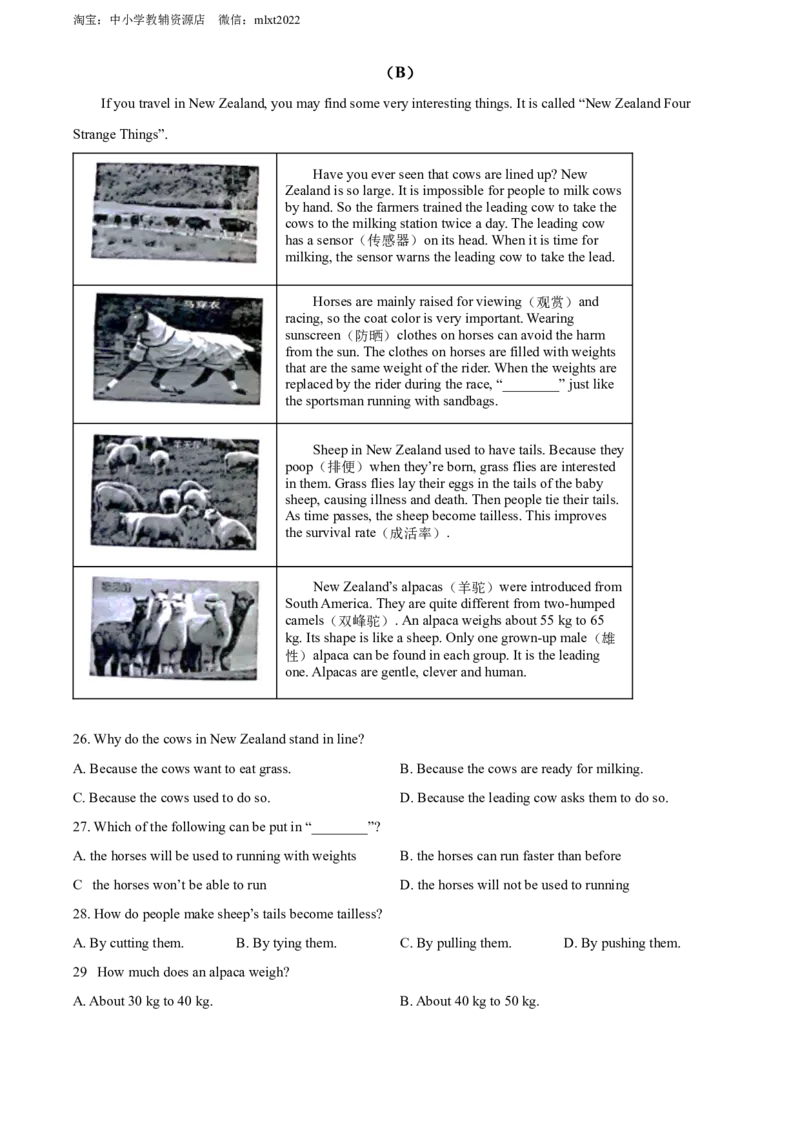 精品解析：2022年贵州省毕节市中考英语真题（原卷版）_中考真题_3.英语中考真题2015-2024年_2022中考英语真题143份11