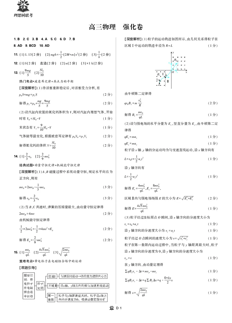 简版解析_2025年6月_250601理想树&middot;东北三省精准教学2025年5月高三联考-强化卷（全科）_物理理想树&middot;东北三省精准教学2025年5月高三联考-强化卷