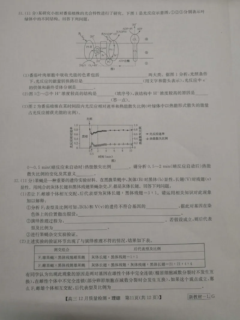理综_2024届九师联盟高三12月质量检测巩固卷_九师联盟2024届高三12月质量检测巩固卷理综