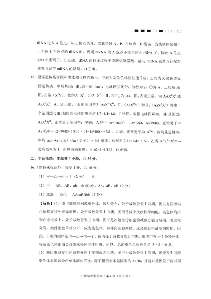 重庆巴蜀中学2026届高三10月高考适应性月考卷（三）生物答案_251101重庆市巴蜀中学2026届高三上学期10月月考（三）（全科）_重庆巴蜀中学2026届高三10月高考适应性月考卷（三）生物