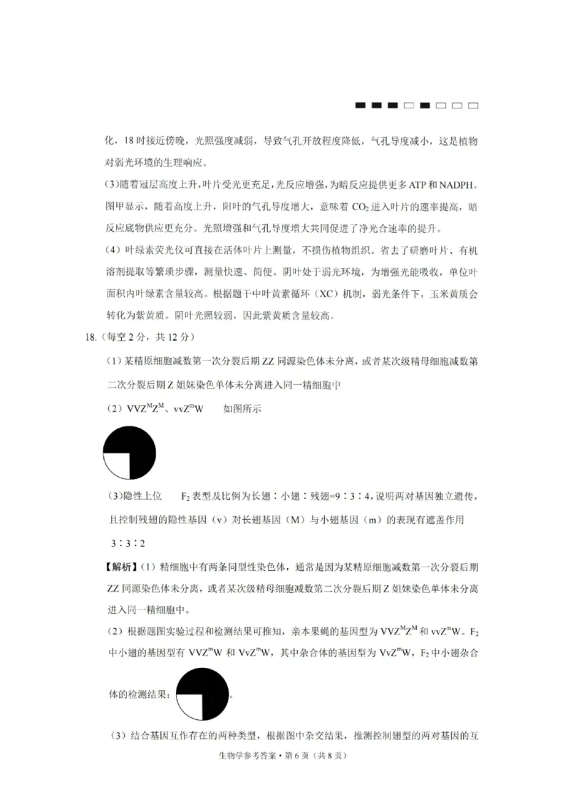 重庆巴蜀中学2026届高三10月高考适应性月考卷（三）生物答案_251101重庆市巴蜀中学2026届高三上学期10月月考（三）（全科）_重庆巴蜀中学2026届高三10月高考适应性月考卷（三）生物