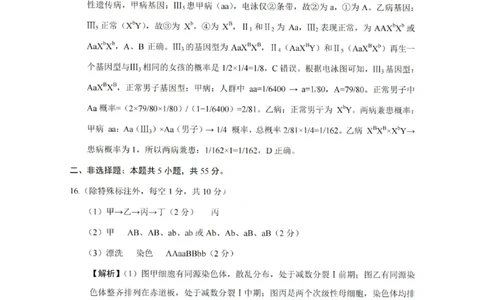 重庆巴蜀中学2026届高三10月高考适应性月考卷（三）生物答案_251101重庆市巴蜀中学2026届高三上学期10月月考（三）（全科）_重庆巴蜀中学2026届高三10月高考适应性月考卷（三）生物