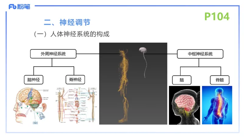 理论精讲14-动物学4-拾光_4-教培资料-26年最新资料-同步更新_初中高中教资_03科三专项（进去保存报考的学科即可）_01科目三FB网课、三色速记手册、知识点导图等推荐_初中