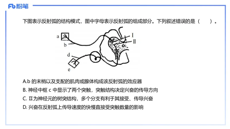 理论精讲14-动物学4-拾光_4-教培资料-26年最新资料-同步更新_初中高中教资_03科三专项（进去保存报考的学科即可）_01科目三FB网课、三色速记手册、知识点导图等推荐_初中