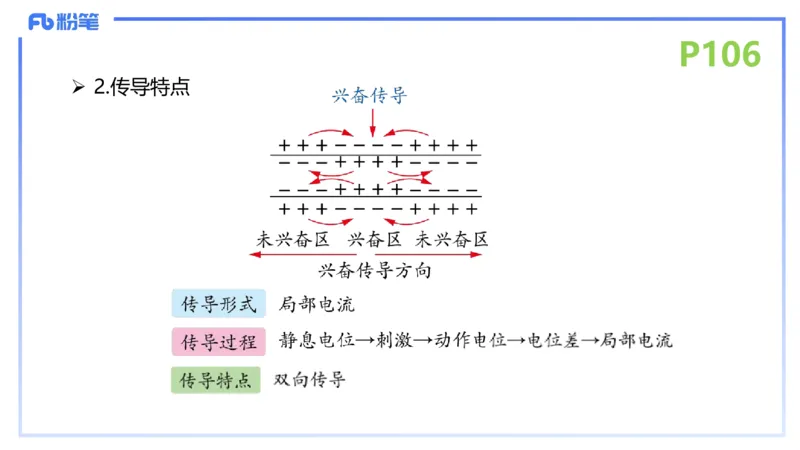 理论精讲14-动物学4-拾光_4-教培资料-26年最新资料-同步更新_初中高中教资_03科三专项（进去保存报考的学科即可）_01科目三FB网课、三色速记手册、知识点导图等推荐_初中