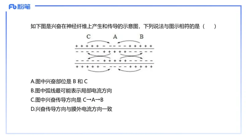 理论精讲14-动物学4-拾光_4-教培资料-26年最新资料-同步更新_初中高中教资_03科三专项（进去保存报考的学科即可）_01科目三FB网课、三色速记手册、知识点导图等推荐_初中