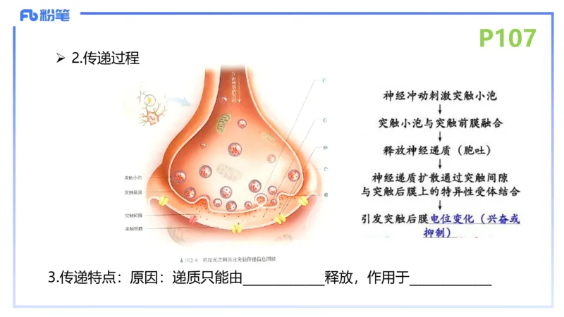 理论精讲14-动物学4-拾光_4-教培资料-26年最新资料-同步更新_初中高中教资_03科三专项（进去保存报考的学科即可）_01科目三FB网课、三色速记手册、知识点导图等推荐_初中
