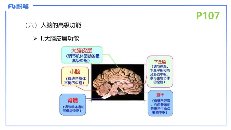 理论精讲14-动物学4-拾光_4-教培资料-26年最新资料-同步更新_初中高中教资_03科三专项（进去保存报考的学科即可）_01科目三FB网课、三色速记手册、知识点导图等推荐_初中