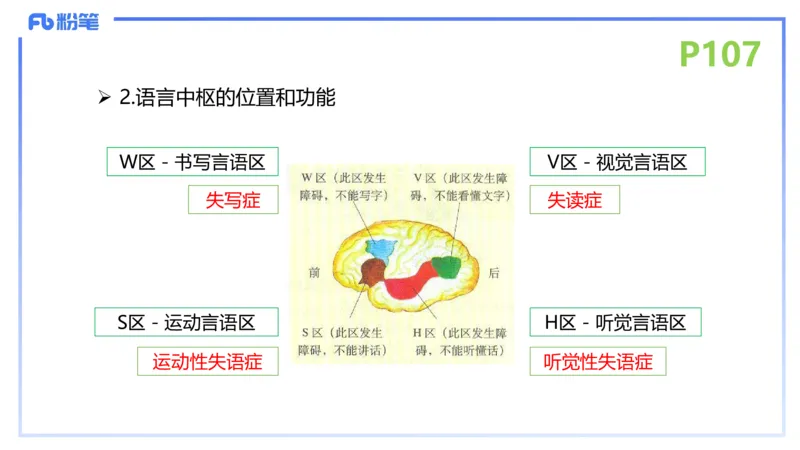 理论精讲14-动物学4-拾光_4-教培资料-26年最新资料-同步更新_初中高中教资_03科三专项（进去保存报考的学科即可）_01科目三FB网课、三色速记手册、知识点导图等推荐_初中
