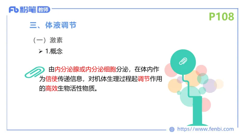 理论精讲14-动物学4-拾光_4-教培资料-26年最新资料-同步更新_初中高中教资_03科三专项（进去保存报考的学科即可）_01科目三FB网课、三色速记手册、知识点导图等推荐_初中