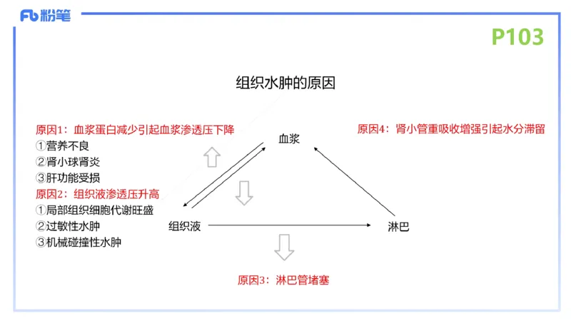 理论精讲14-动物学4-拾光_4-教培资料-26年最新资料-同步更新_初中高中教资_03科三专项（进去保存报考的学科即可）_01科目三FB网课、三色速记手册、知识点导图等推荐_初中
