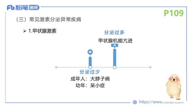 理论精讲14-动物学4-拾光_4-教培资料-26年最新资料-同步更新_初中高中教资_03科三专项（进去保存报考的学科即可）_01科目三FB网课、三色速记手册、知识点导图等推荐_初中