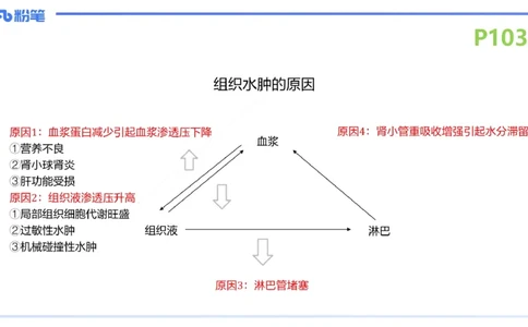 理论精讲14-动物学4-拾光_4-教培资料-26年最新资料-同步更新_初中高中教资_03科三专项（进去保存报考的学科即可）_01科目三FB网课、三色速记手册、知识点导图等推荐_初中