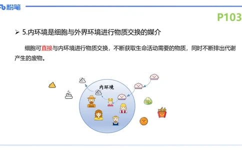 理论精讲14-动物学4-拾光_4-教培资料-26年最新资料-同步更新_初中高中教资_03科三专项（进去保存报考的学科即可）_01科目三FB网课、三色速记手册、知识点导图等推荐_初中