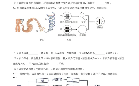 精品解析：2023年湖南省长沙市中考生物真题（原卷版）_中考真题_8.生物中考真题2015-2024年_2023年全国中考生物7.20_精品解析：2023年湖南省长沙市中考生物真题