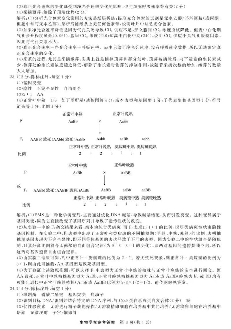 生物--浙江强基联盟12月高三联考DA_2025年12月_251204浙江省强基联盟2025年12月高三联考（全科）_浙江省强基联盟2025-2026学年高三上学期12月联考生物试题（含答案）