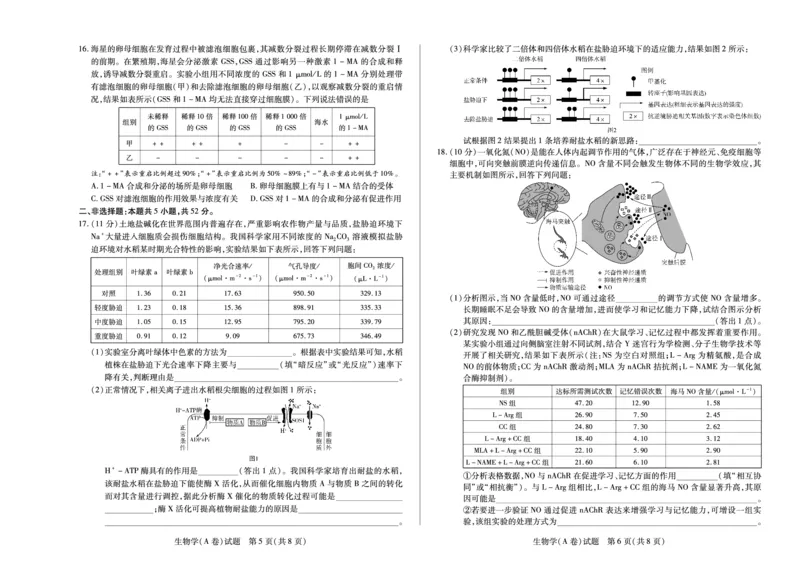 生物学A卷天一大联考&middot;河南省2025-2026学年（上）高三年级顶尖计划（二）_2025年12月_251211河南省、陕西甘肃省2025-2026学年（上）高三年级顶尖计划（二）（全科）