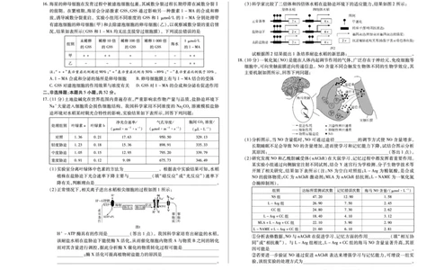 生物学A卷天一大联考&middot;河南省2025-2026学年（上）高三年级顶尖计划（二）_2025年12月_251211河南省、陕西甘肃省2025-2026学年（上）高三年级顶尖计划（二）（全科）