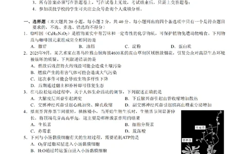 生物试题｜26届县域教研联盟12月联考_2025年12月_251206浙江县域教研联盟2025学年第一学期12月高三模拟考试（全科）_浙江县域教研联盟2025学年第一学期12月高三模拟考试生物