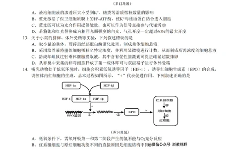 生物试题｜26届县域教研联盟12月联考_2025年12月_251206浙江县域教研联盟2025学年第一学期12月高三模拟考试（全科）_浙江县域教研联盟2025学年第一学期12月高三模拟考试生物