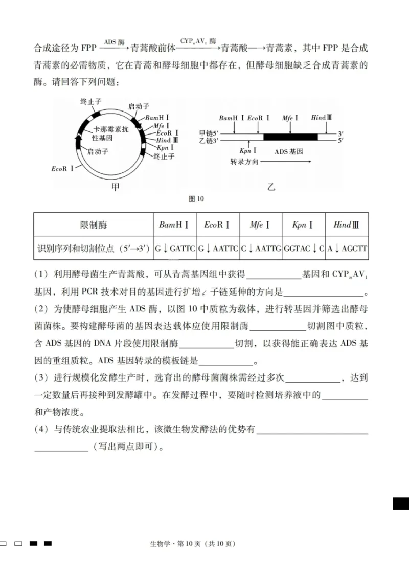 生物试卷-2026届云南三校高考备考实用性联考卷（四）_2025年11月_2511162026届云南省三校高三上学期高考备考实用性联考卷（四）（全科）