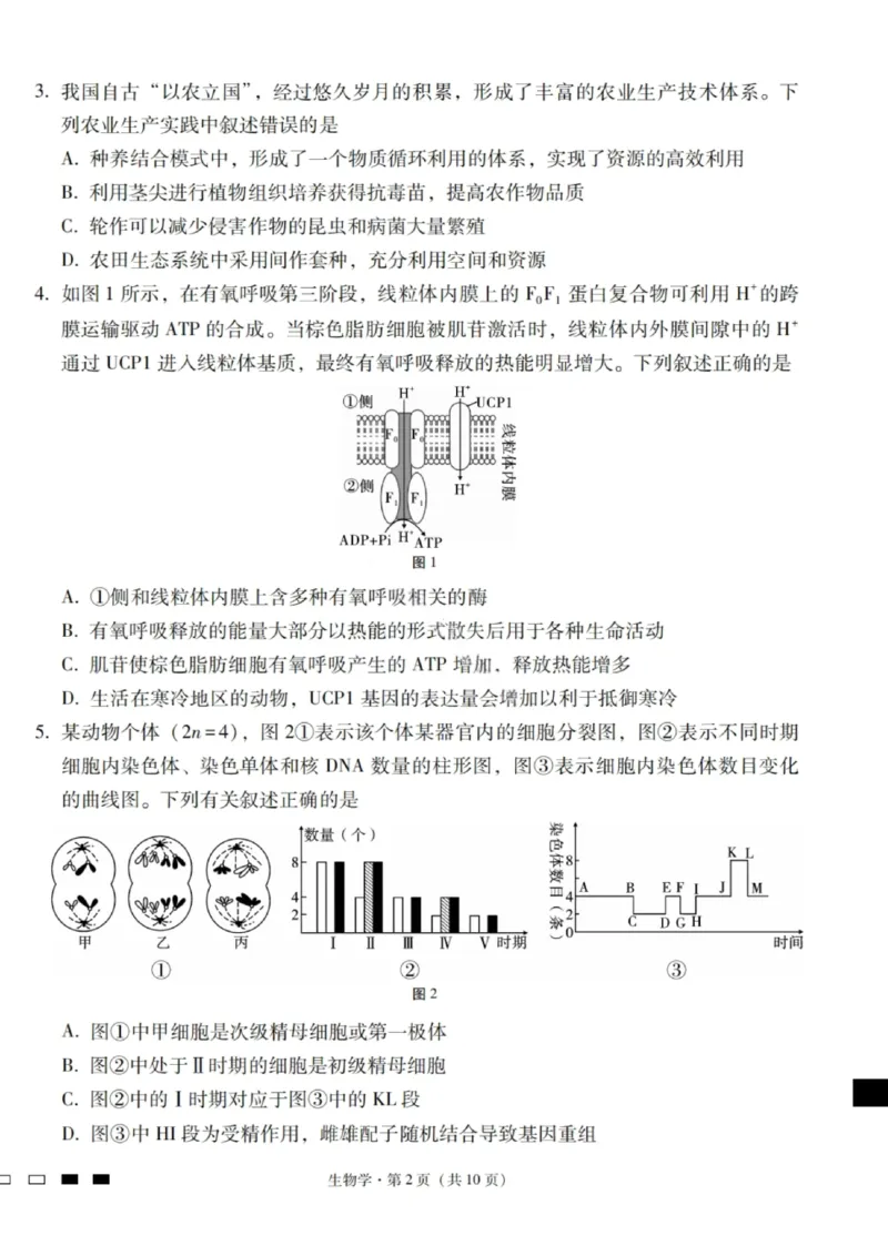 生物试卷-2026届云南三校高考备考实用性联考卷（四）_2025年11月_2511162026届云南省三校高三上学期高考备考实用性联考卷（四）（全科）