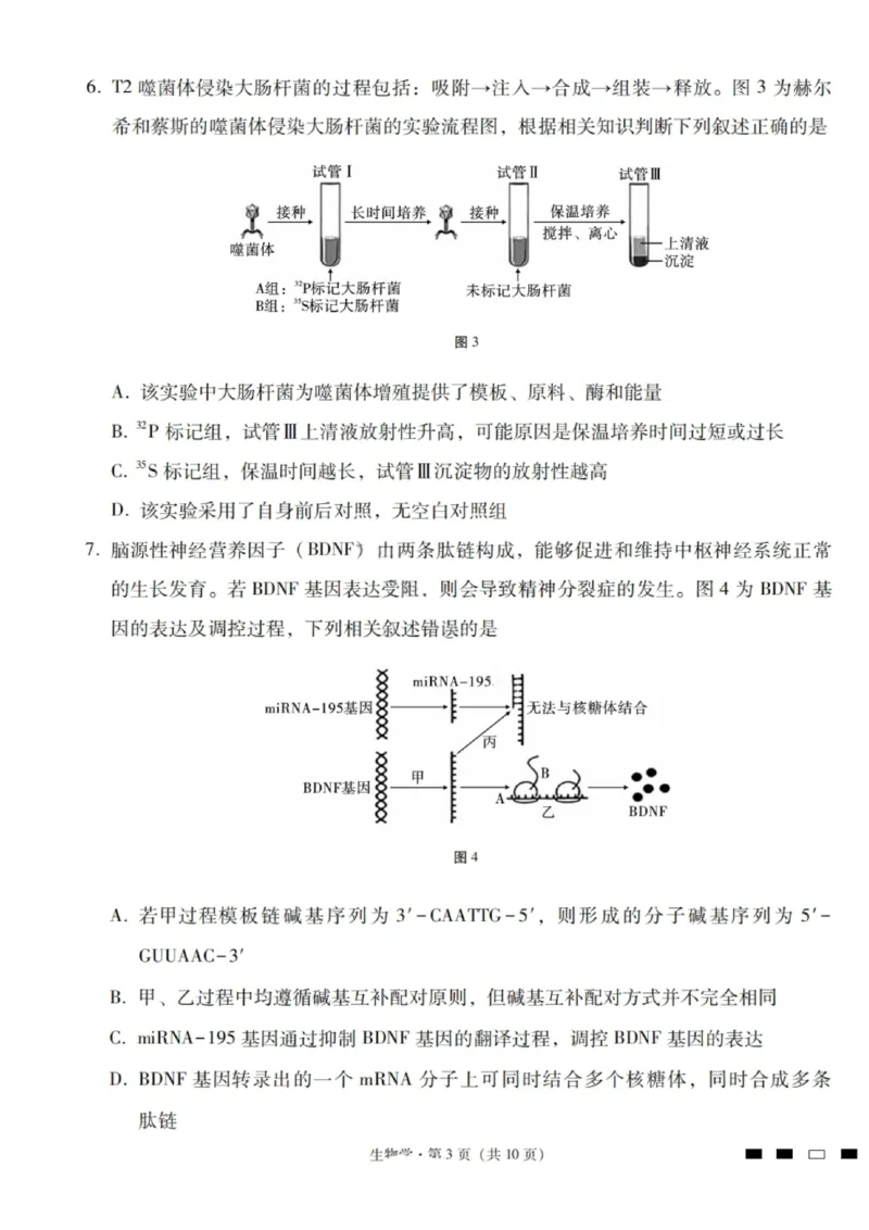 生物试卷-2026届云南三校高考备考实用性联考卷（四）_2025年11月_2511162026届云南省三校高三上学期高考备考实用性联考卷（四）（全科）