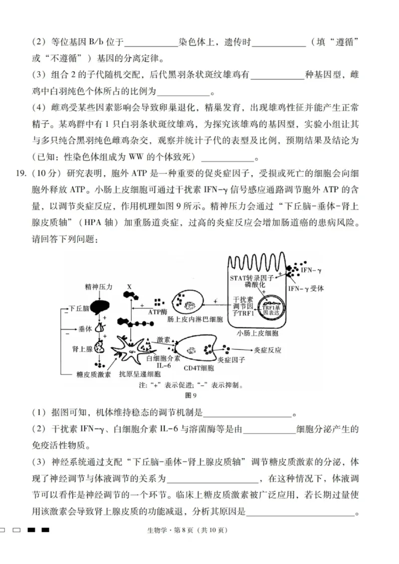 生物试卷-2026届云南三校高考备考实用性联考卷（四）_2025年11月_2511162026届云南省三校高三上学期高考备考实用性联考卷（四）（全科）