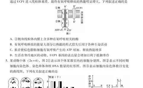 生物试卷-2026届云南三校高考备考实用性联考卷（四）_2025年11月_2511162026届云南省三校高三上学期高考备考实用性联考卷（四）（全科）