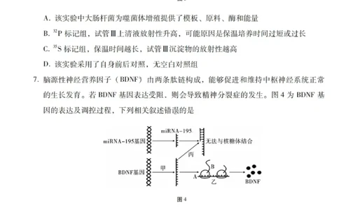 生物试卷-2026届云南三校高考备考实用性联考卷（四）_2025年11月_2511162026届云南省三校高三上学期高考备考实用性联考卷（四）（全科）