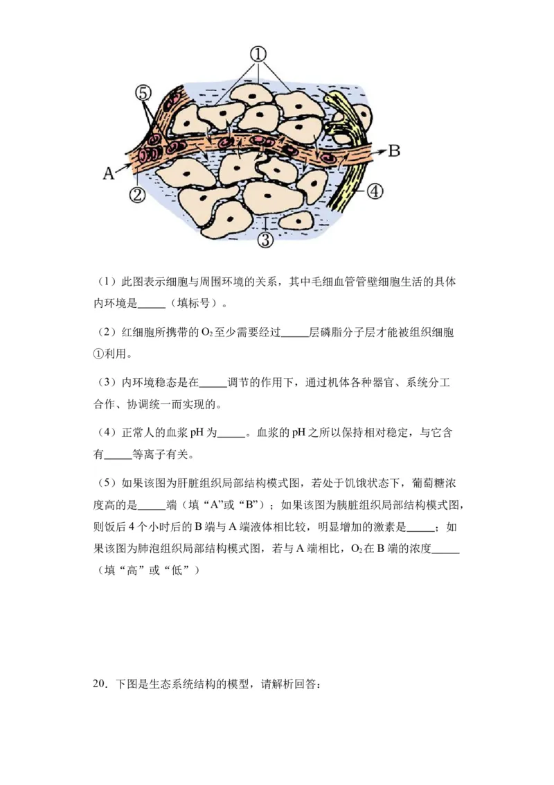 新疆维吾尔自治区乌鲁木齐市实验学校2024届高三上学期1月月考生物_2024届新疆维吾尔自治区乌鲁木齐市实验学校高三上学期1月月考