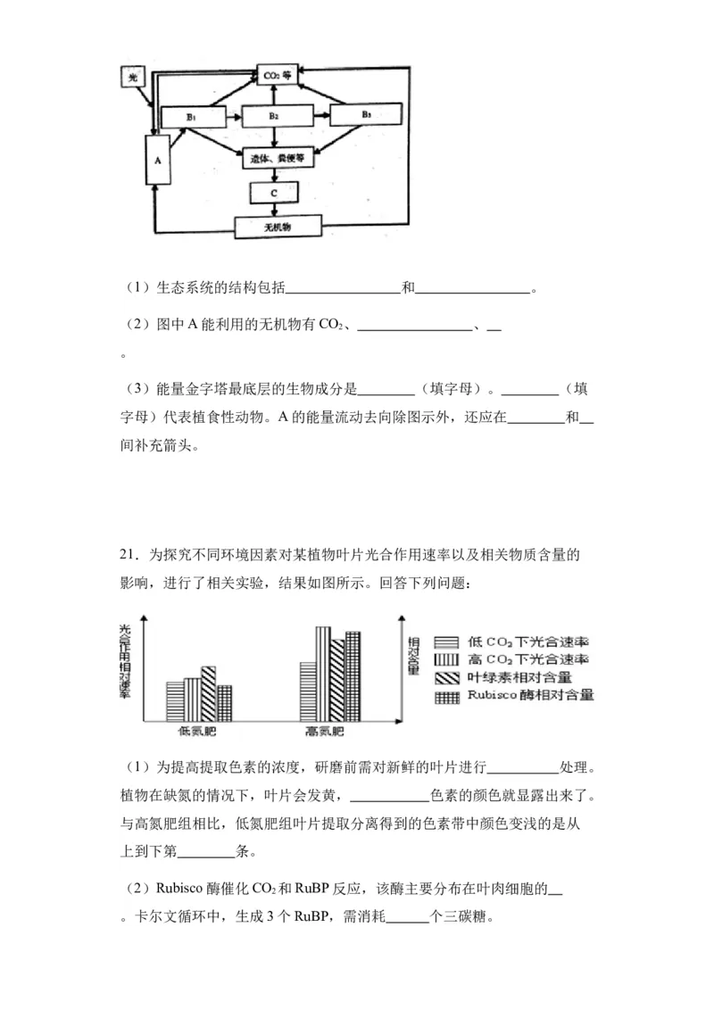 新疆维吾尔自治区乌鲁木齐市实验学校2024届高三上学期1月月考生物_2024届新疆维吾尔自治区乌鲁木齐市实验学校高三上学期1月月考