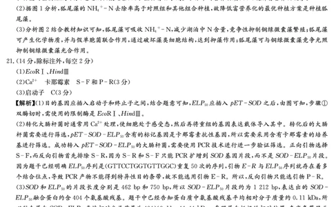 生物答案-湖南师大附中2024-2025高二下期末_2025年7月_250708湖南师范大学附属中学2024-2025学年高二下学期期末考试（全科）
