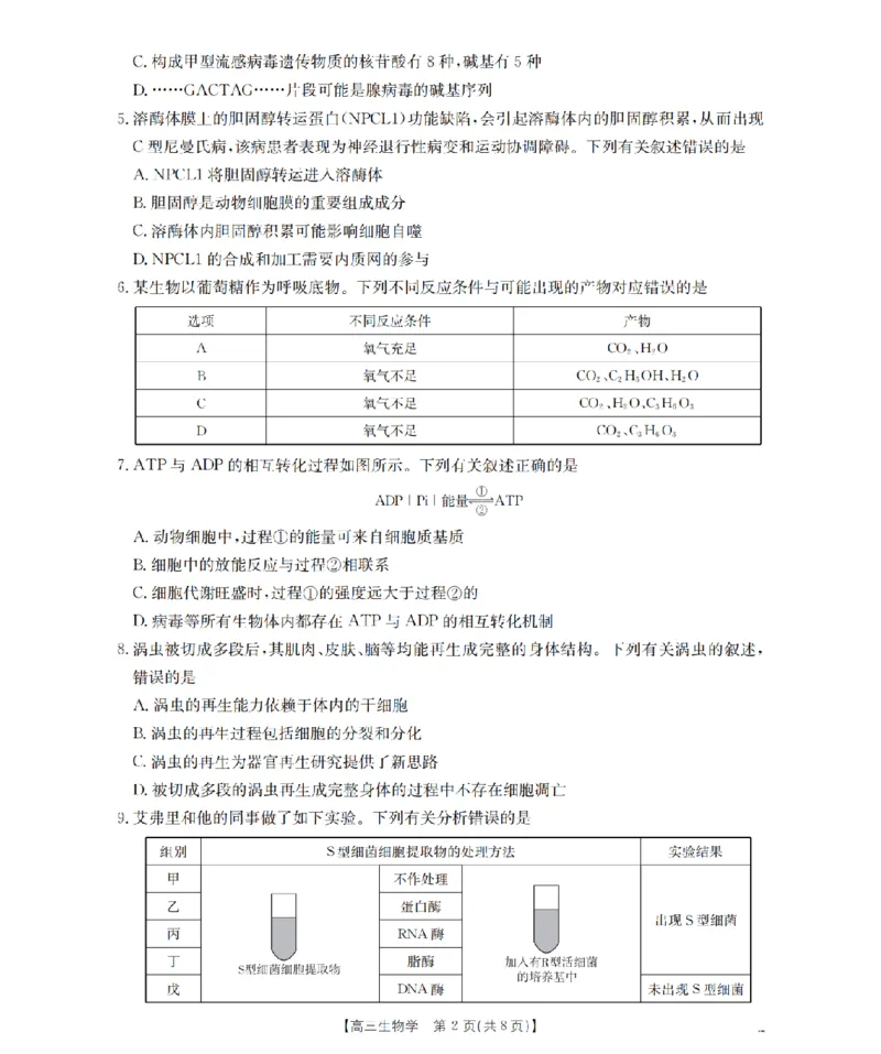 甘肃省2026届高三上学期12月阶段性考试（26-158C）生物_2025年12月_251231金太阳&middot;甘肃省2026届高三上学期12月阶段性考试（26-158C）（全科）