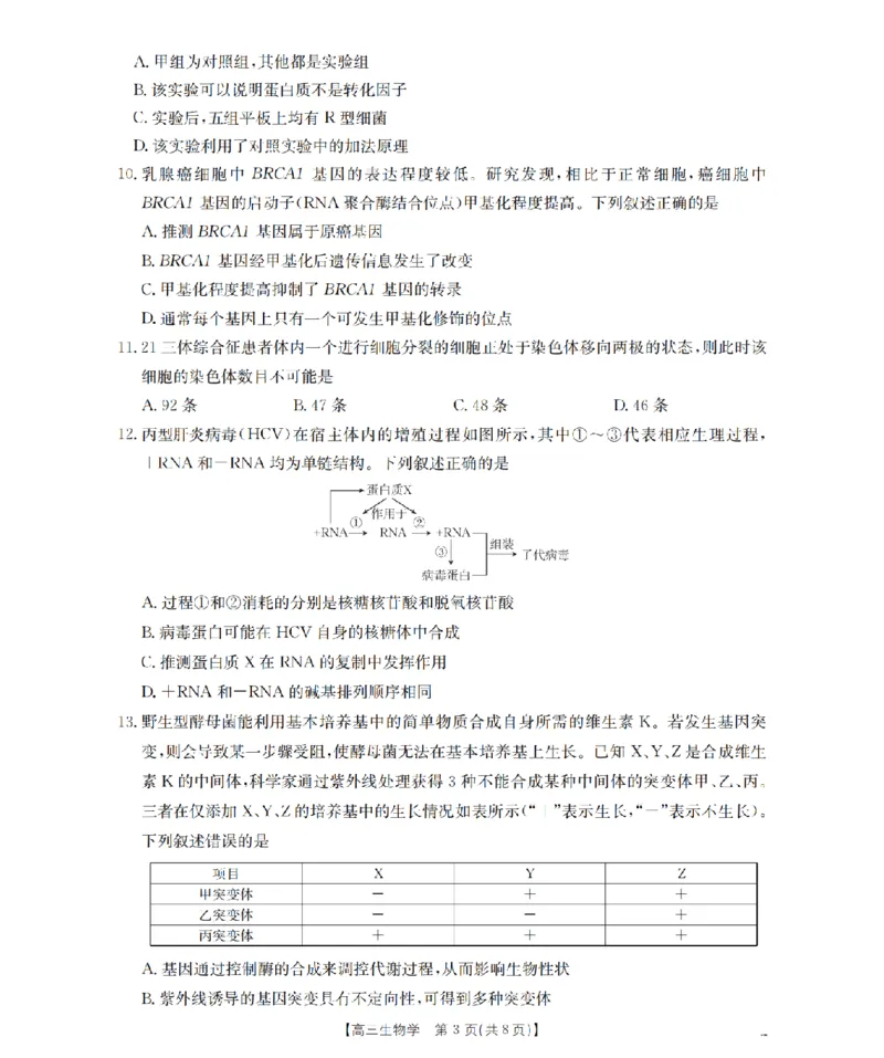 甘肃省2026届高三上学期12月阶段性考试（26-158C）生物_2025年12月_251231金太阳&middot;甘肃省2026届高三上学期12月阶段性考试（26-158C）（全科）
