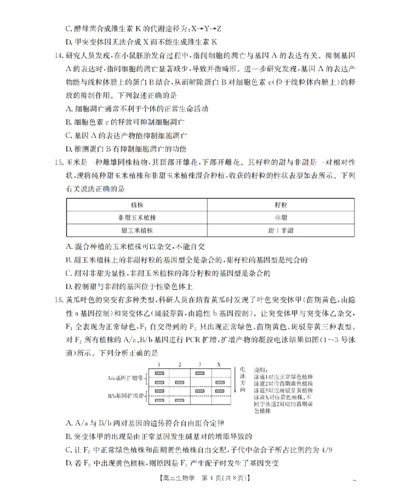 甘肃省2026届高三上学期12月阶段性考试（26-158C）生物_2025年12月_251231金太阳&middot;甘肃省2026届高三上学期12月阶段性考试（26-158C）（全科）