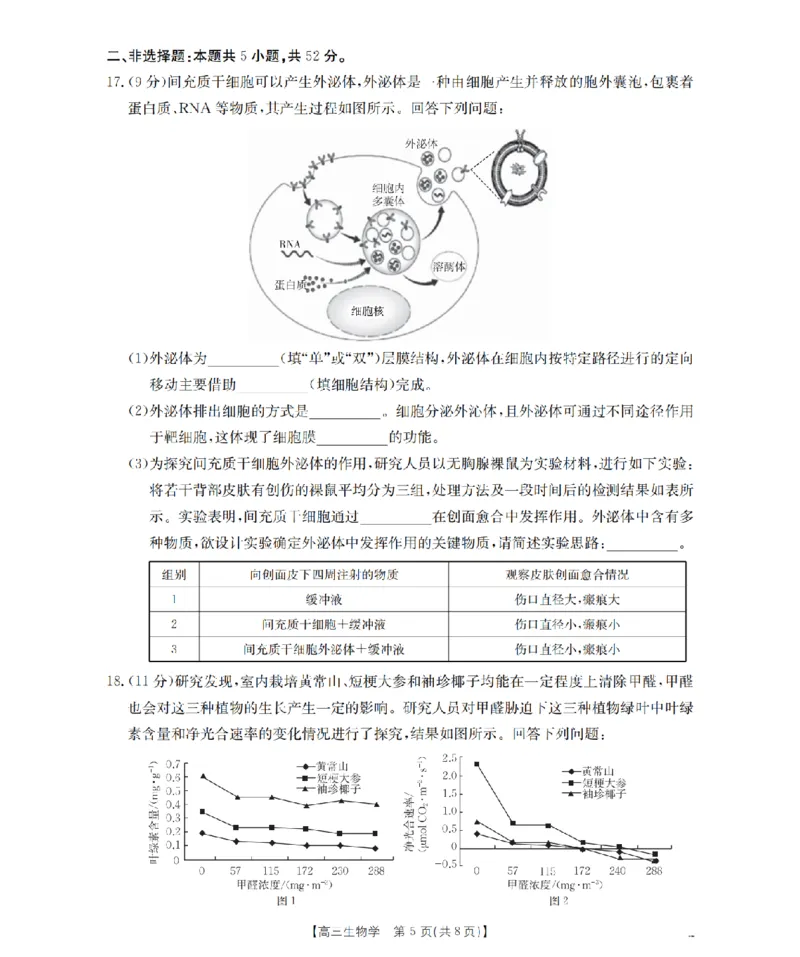 甘肃省2026届高三上学期12月阶段性考试（26-158C）生物_2025年12月_251231金太阳&middot;甘肃省2026届高三上学期12月阶段性考试（26-158C）（全科）