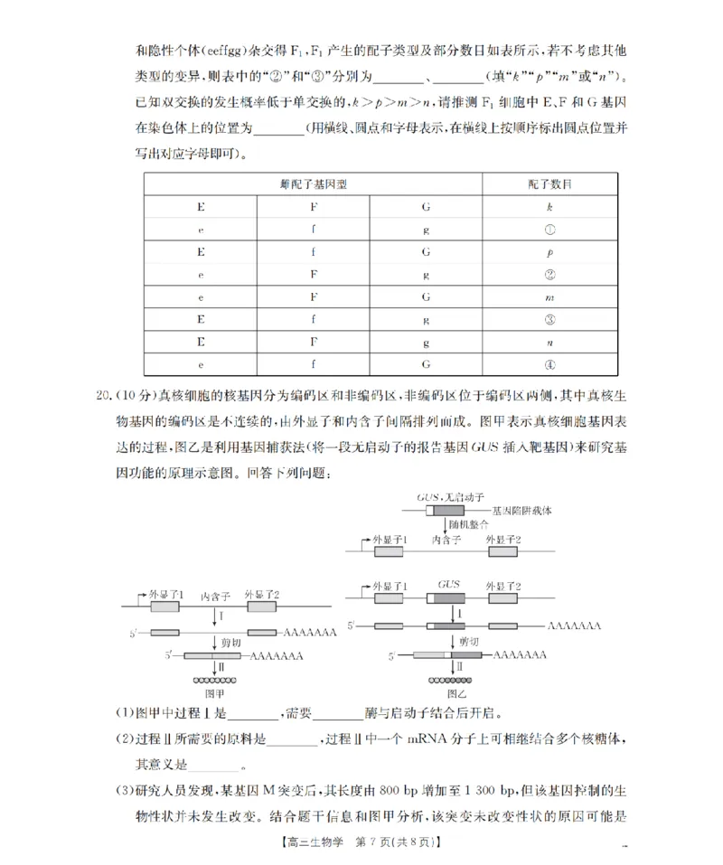 甘肃省2026届高三上学期12月阶段性考试（26-158C）生物_2025年12月_251231金太阳&middot;甘肃省2026届高三上学期12月阶段性考试（26-158C）（全科）