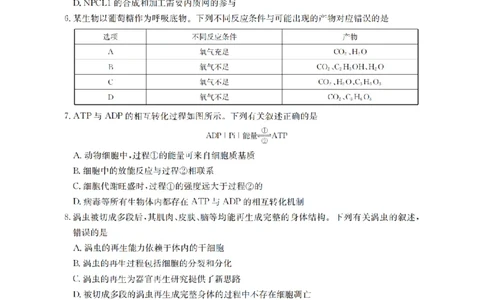 甘肃省2026届高三上学期12月阶段性考试（26-158C）生物_2025年12月_251231金太阳&middot;甘肃省2026届高三上学期12月阶段性考试（26-158C）（全科）