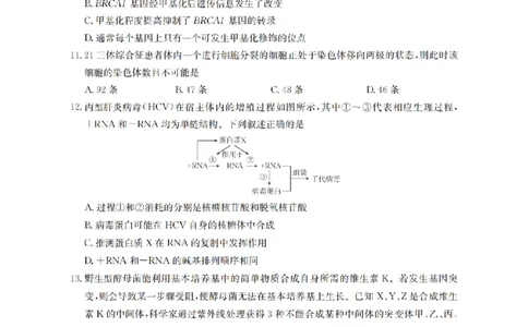 甘肃省2026届高三上学期12月阶段性考试（26-158C）生物_2025年12月_251231金太阳&middot;甘肃省2026届高三上学期12月阶段性考试（26-158C）（全科）