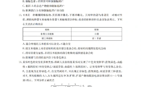 甘肃省2026届高三上学期12月阶段性考试（26-158C）生物_2025年12月_251231金太阳&middot;甘肃省2026届高三上学期12月阶段性考试（26-158C）（全科）
