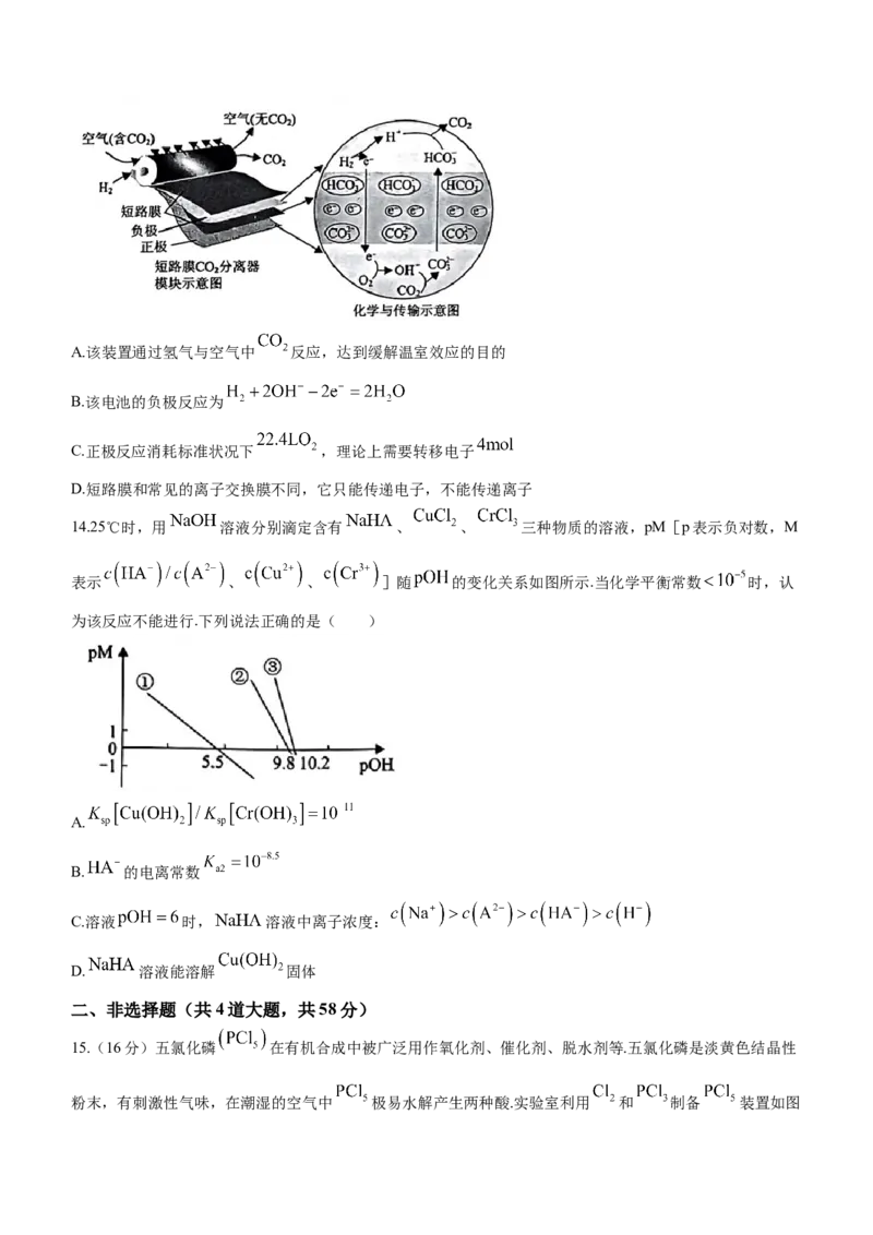 河北省保定市2024届高三上学期期末调研考试化学_2024届河北省保定市高三上学期期末调研考试