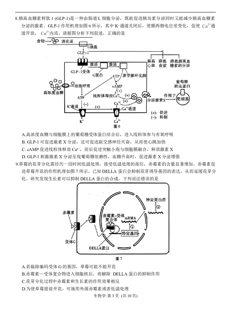 生物学试卷_2025年12月_251220重庆市重庆八中2026届高三12月高考适应性月考卷（四）（全科）_重庆市第八中学校2025-2026学年高三上学期12月月考生物试题（含答案）