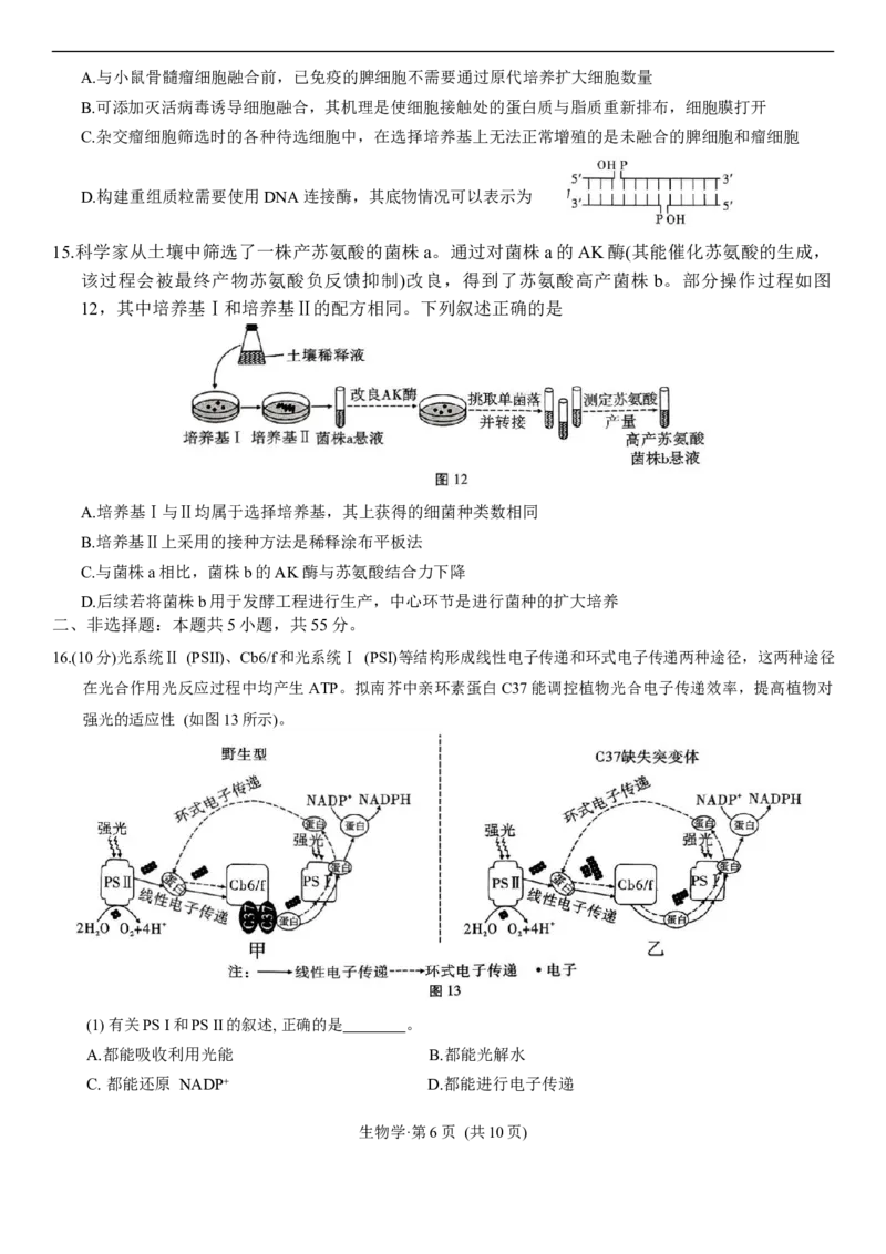 生物学试卷_2025年12月_251220重庆市重庆八中2026届高三12月高考适应性月考卷（四）（全科）_重庆市第八中学校2025-2026学年高三上学期12月月考生物试题（含答案）