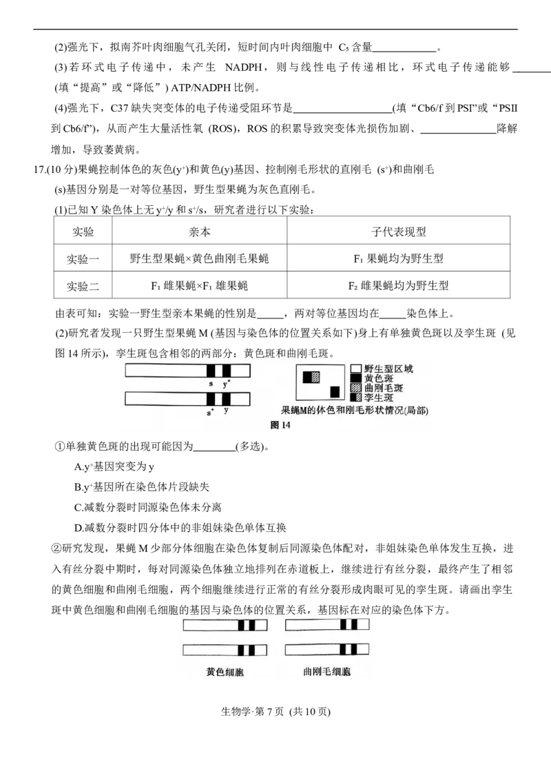生物学试卷_2025年12月_251220重庆市重庆八中2026届高三12月高考适应性月考卷（四）（全科）_重庆市第八中学校2025-2026学年高三上学期12月月考生物试题（含答案）