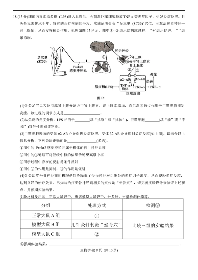生物学试卷_2025年12月_251220重庆市重庆八中2026届高三12月高考适应性月考卷（四）（全科）_重庆市第八中学校2025-2026学年高三上学期12月月考生物试题（含答案）